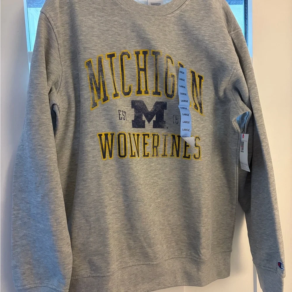 Champion Gray Michigan Wolverines Sweatshirt - Picture 1 of 3